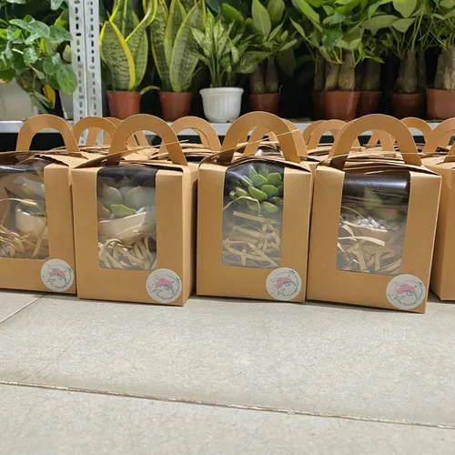 💔Set Quà Tặng Cây Sen Đá ĐỘC ĐÁO: Chậu hoa để bàn nhỏ xinh Thay Vạn Lời Nói!