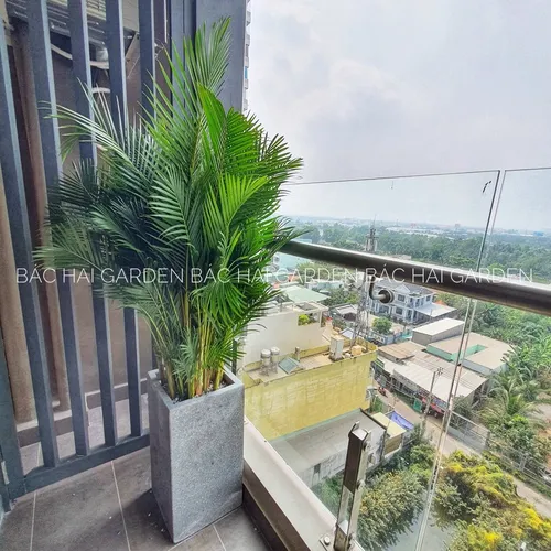 🌱THĂNG HẠNG Không Gian Sống Với Chậu Xi Măng Trồng Cây Vuông Cao Hiện Đại.