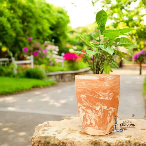 ☀️Review Bộ 3 Chậu Gốm Marble: Liệu Có Đáng Tiền Cho Một Bộ Chậu Gốm Trồng Cây Cảnh Sân Vườn?