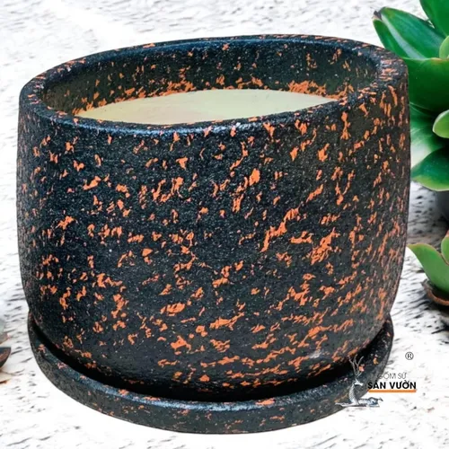 🧑‍🌾Review Chậu Gốm Trồng Cây Ngoài Trời Dáng Nồi: ĐẸP BẤT NGỜ, Giá Siêu Rẻ!