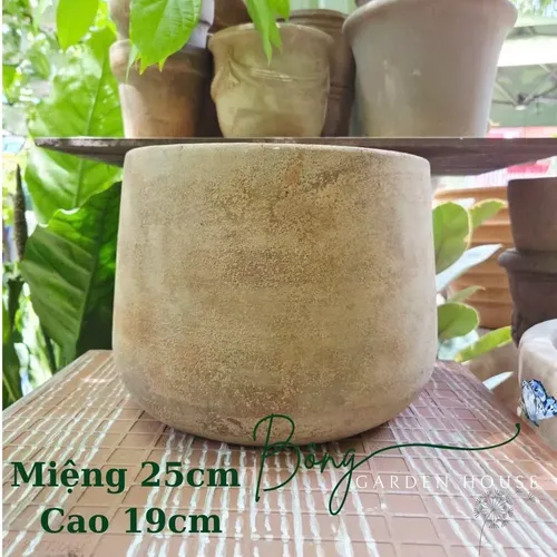🌼Chậu Gốm Trồng Cây Cảnh Giả Cổ - Mang Cả Khu Vườn An Yên Về Nhà Bạn