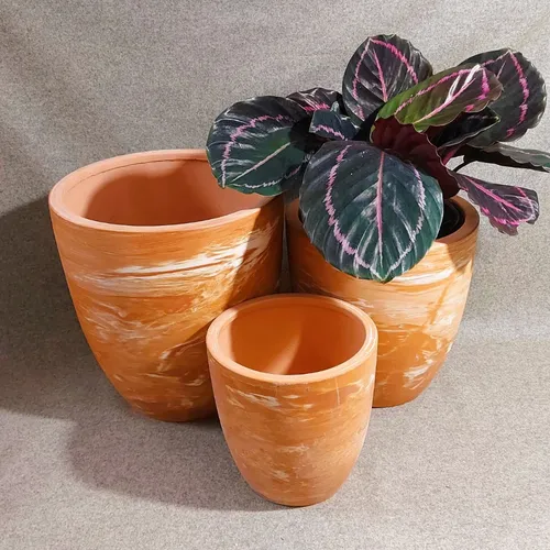 ✨Chậu Gốm Trồng Cây Đất Nung Màu Cam Sữa: Vẻ Đẹp Độc Lạ Cho Không Gian Sống!