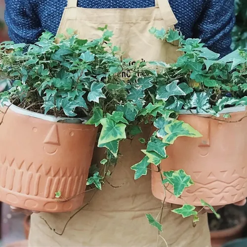 🧑‍🌾Chậu Gốm Trồng Cây Cảnh Mặt Cười: Nụ Cười Bừng Sáng Cho Mọi Không Gian!