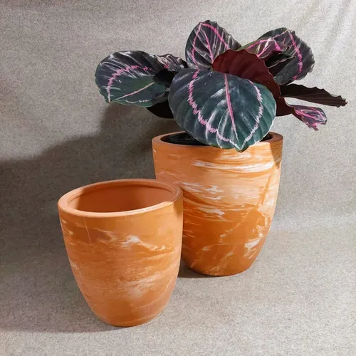 ✨Chậu Gốm Trồng Cây Đất Nung Màu Cam Sữa: Vẻ Đẹp Độc Lạ Cho Không Gian Sống!