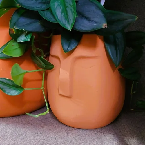 🧑‍🌾Chậu Gốm Trồng Cây Phong Thủy Mặt Người Zen - Kích Hoạt TÀI LỘC, Vượng Khí!