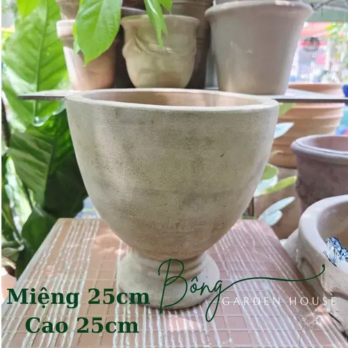 🌼Chậu Gốm Trồng Cây Cảnh Giả Cổ - Mang Cả Khu Vườn An Yên Về Nhà Bạn
