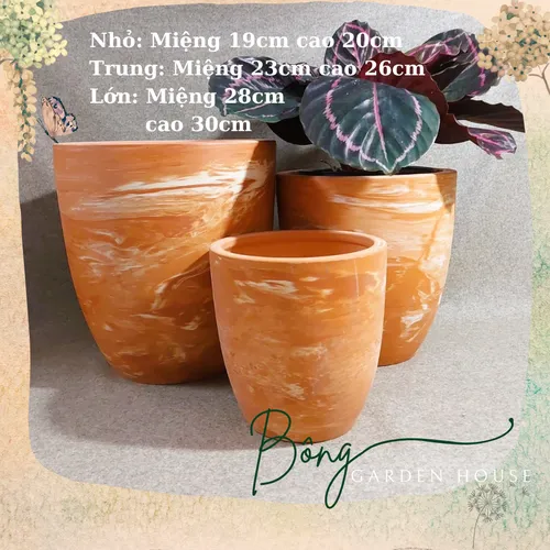 ✨Chậu Gốm Trồng Cây Đất Nung Màu Cam Sữa: Vẻ Đẹp Độc Lạ Cho Không Gian Sống!