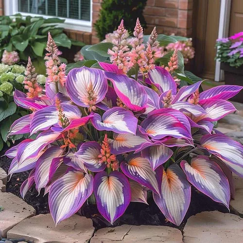 🧑‍🌾Cây Môn Kiểng Phong Thủy Rước Tài Lộc: Chậu Hoa Cây Cảnh Ngoài Trời Sang Trọng & Độc Đáo