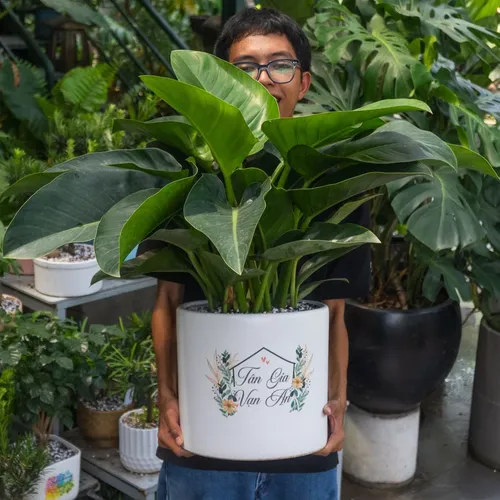 🎁 CHẬU HOA ĐẸP - QUÀ TẶNG TÂN GIA SANG TRỌNG THAY VẠN LỜI CHÚC!