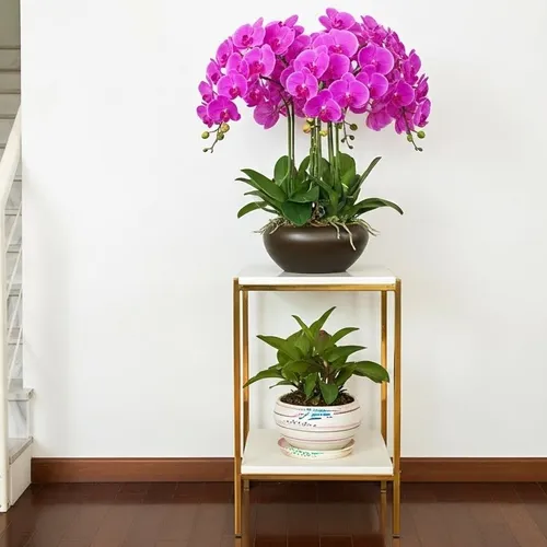 🌸CHẬU LAN HỒ ĐIỆP GIẢ CAO CẤP – SANG TRỌNG NHƯ THẬT, BỀN ĐẸP LÂU DÀI!