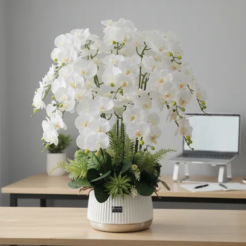 ✨ CHẬU LAN HỒ ĐIỆP GIẢ CAO CẤP 12 CÀNH TRẮNG: TUYỆT TÁC CỦA SỰ THANH TAO!