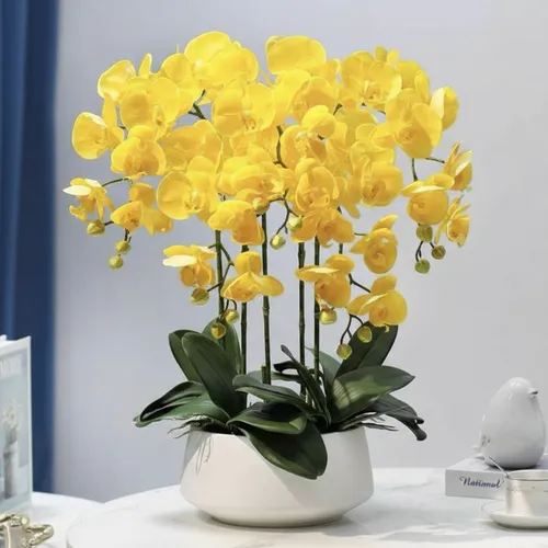 🌸CHẬU LAN HỒ ĐIỆP GIẢ CAO CẤP – SANG TRỌNG NHƯ THẬT, BỀN ĐẸP LÂU DÀI!