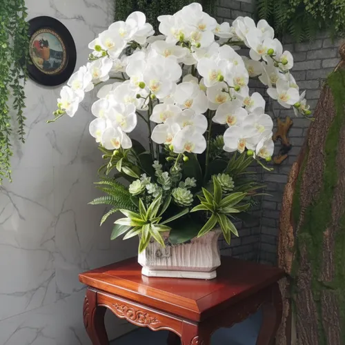 🌼 CHẬU LAN HỒ ĐIỆP GIẢ 16 CÀNH – ĐẲNG CẤP TRANG TRÍ SANG TRỌNG!