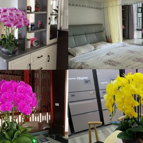 🌸CHẬU LAN HỒ ĐIỆP GIẢ CAO CẤP – SANG TRỌNG NHƯ THẬT, BỀN ĐẸP LÂU DÀI!