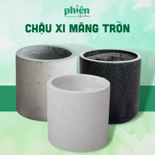🌱Chậu Xi Măng Đá Mài Trụ Tròn 30cm: Vẻ Đẹp Tối Giản, Nét Chấm Phá Tinh Tế