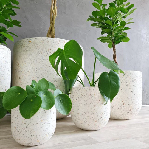 🌸Chậu Xi Măng Đá Mài: Vẻ Đẹp TINH KHÔI Khiến Ai Cũng Phải Trầm Trồ