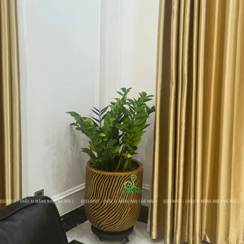 🌸Chậu Xi Măng Nhẹ Trụ Tròn: Vẻ Đẹp TINH TẾ Khiến Ai Cũng Phải NGOÁI NHÌN