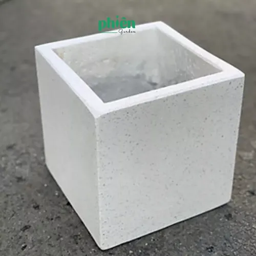 💧🌿Chậu Xi Măng Vuông 25x25: BỀN ĐẸP Vượt Thời Gian - Mảnh Ghép Hoàn Hảo Cho Nhà Phố