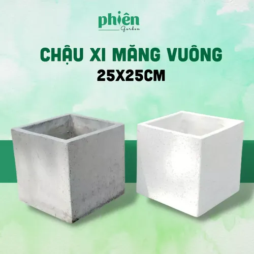 💧🌿Chậu Xi Măng Vuông 25x25: BỀN ĐẸP Vượt Thời Gian - Mảnh Ghép Hoàn Hảo Cho Nhà Phố
