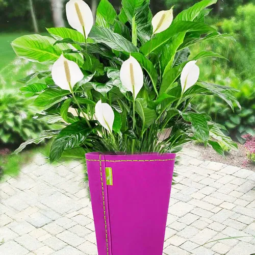 CHẬU HOA SIÊU NHẸ ROMANTIC - E3