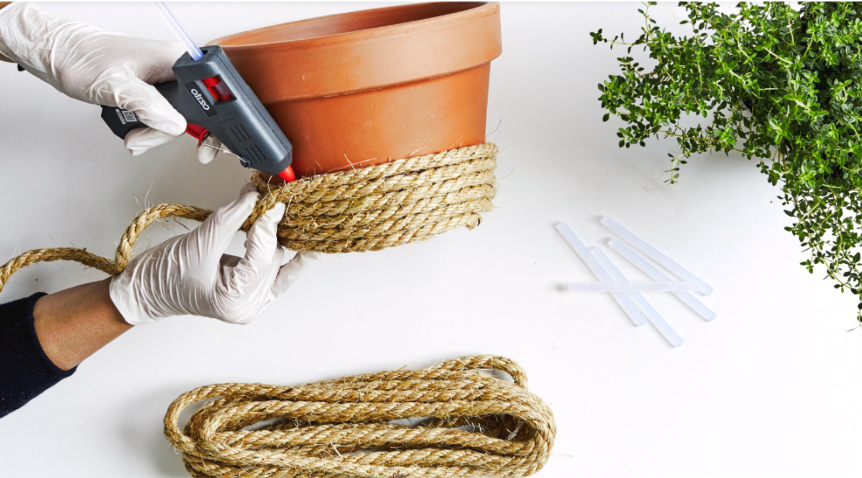 Vẻ đẹp đơn giản nhưng cuốn hút từ những chiếc chậu trồng hoa đẹp. Vẻ đẹp đơn giản nhưng cuốn hút từ những chiếc chậu trồng hoa đẹp.