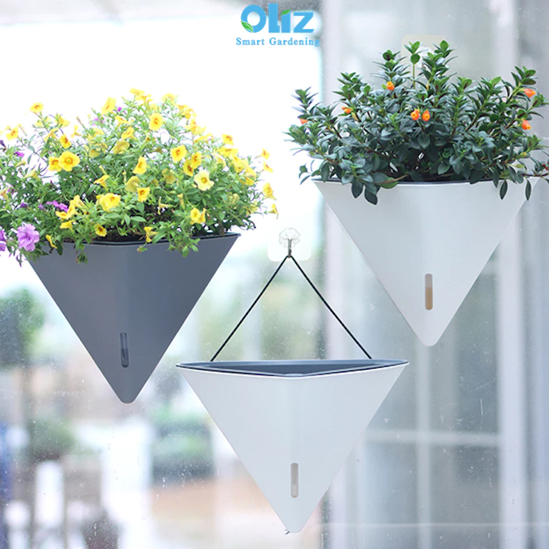 các loại chậu cây cảnh đẹp có nhiều hoa treo ban công các loại chậu cây cảnh đẹp có nhiều hoa treo ban công