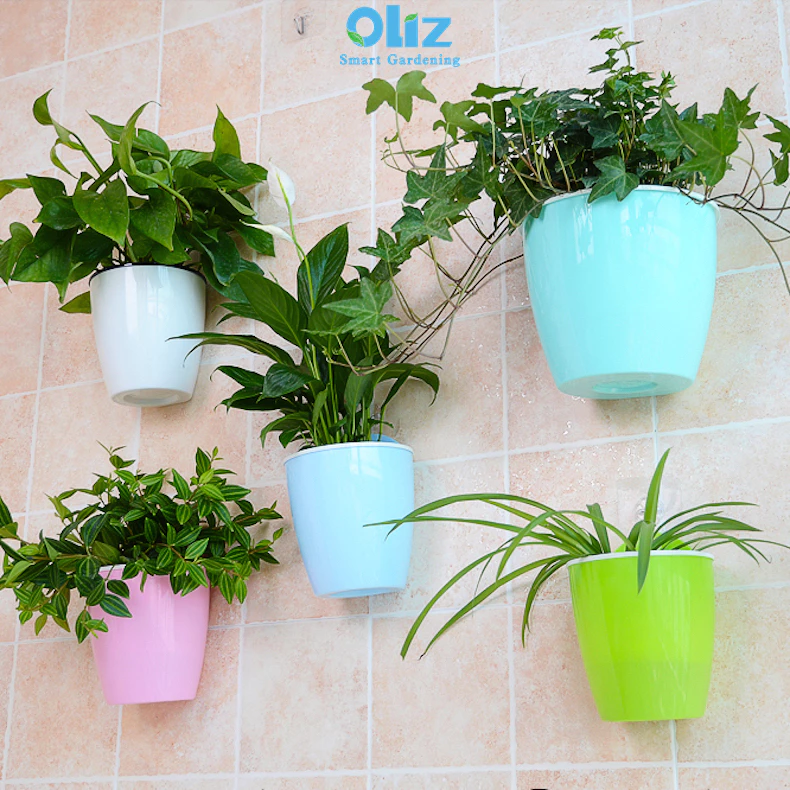 Một chiếc chậu cảnh treo nhỏ xinh cũng đủ khiến hiên nhà thêm sinh động. Một chiếc chậu cảnh treo nhỏ xinh cũng đủ khiến hiên nhà thêm sinh động.