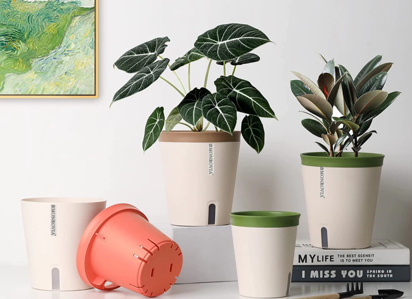 Một chậu cảnh đẹp nhỏ gọn cũng đủ để làm sáng bừng cả không gian sống. Một chậu cảnh đẹp nhỏ gọn cũng đủ để làm sáng bừng cả không gian sống.