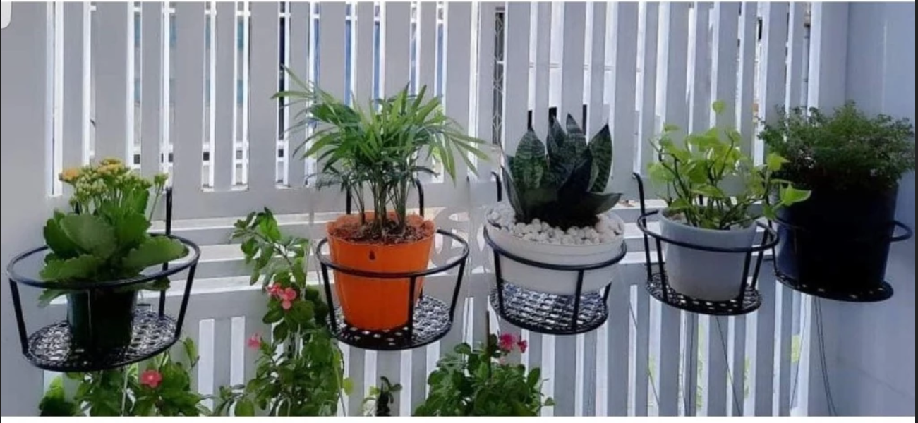 Chỉ cần treo lên là đẹp! Sở hữu ngay mẫu giỏ sắt treo chậu cây cảnh tiện lợi này. Chỉ cần treo lên là đẹp! Sở hữu ngay mẫu giỏ sắt treo chậu cây cảnh tiện lợi này.