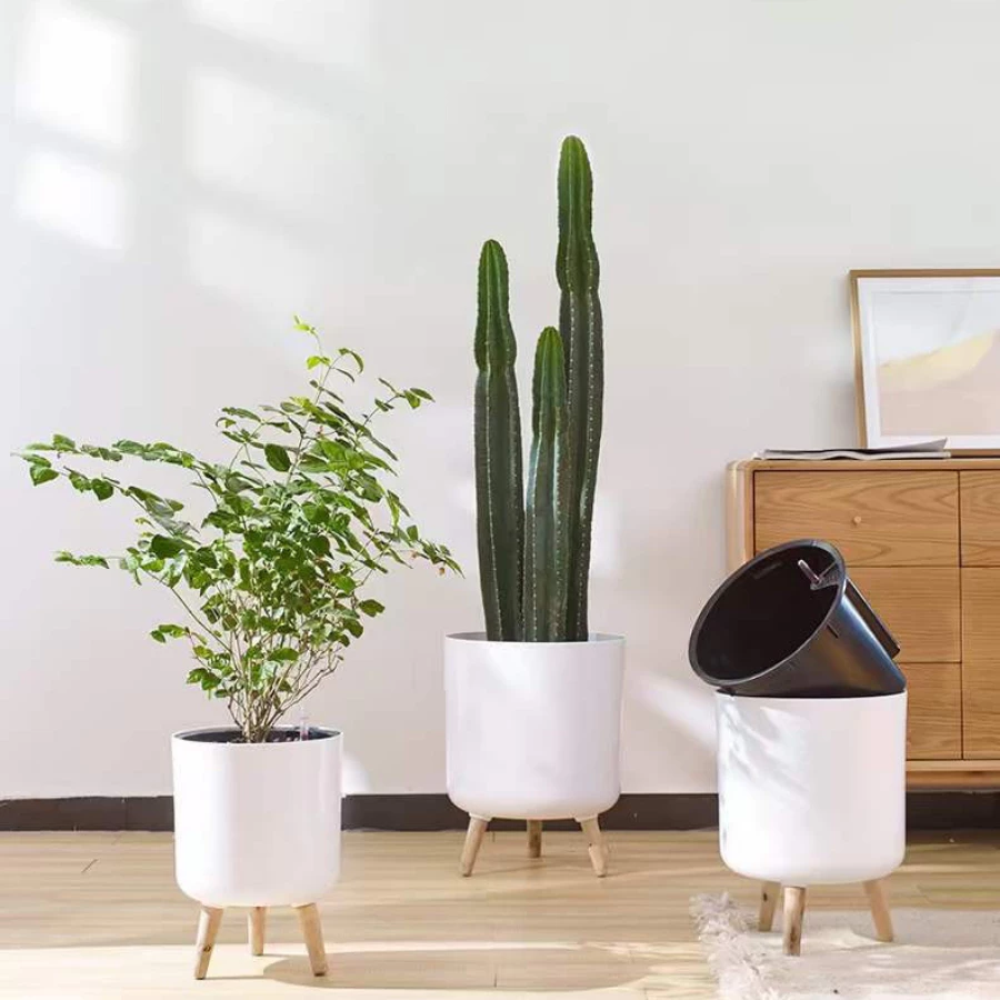 Đây là mẫu chậu cảnh đẹp trồng cây xươn rồng loại lớn Đây là mẫu chậu cảnh đẹp trồng cây xươn rồng loại lớn