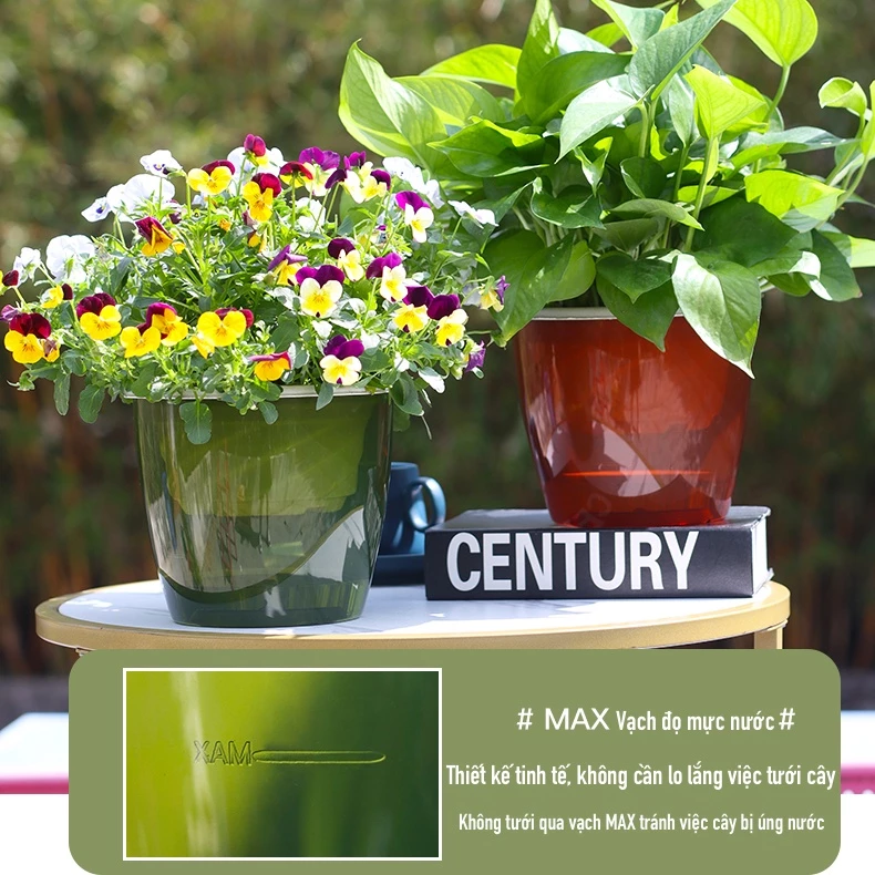 Nhấp vào hình để biết nơi Bán chậu trồng cây ở tp hcm chất lượng rất tốt Nhấp vào hình để biết nơi Bán chậu trồng cây ở tp hcm chất lượng rất tốt