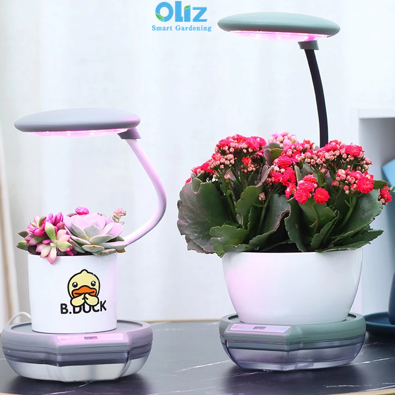 Chậu cây thông minh để bàn, tự tưới có đèn cấp ánh sáng quang hợp cho cây Chậu cây thông minh để bàn, tự tưới có đèn cấp ánh sáng quang hợp cho cây