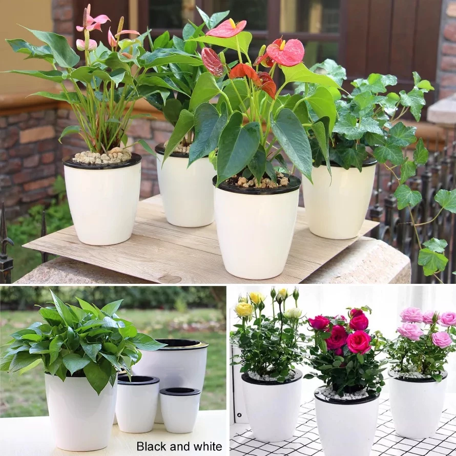 Chậu trồng cây bằng nhựa rẻ đẹp, trang trí phòng khách, bàn làm việc Chậu trồng cây bằng nhựa rẻ đẹp, trang trí phòng khách, bàn làm việc