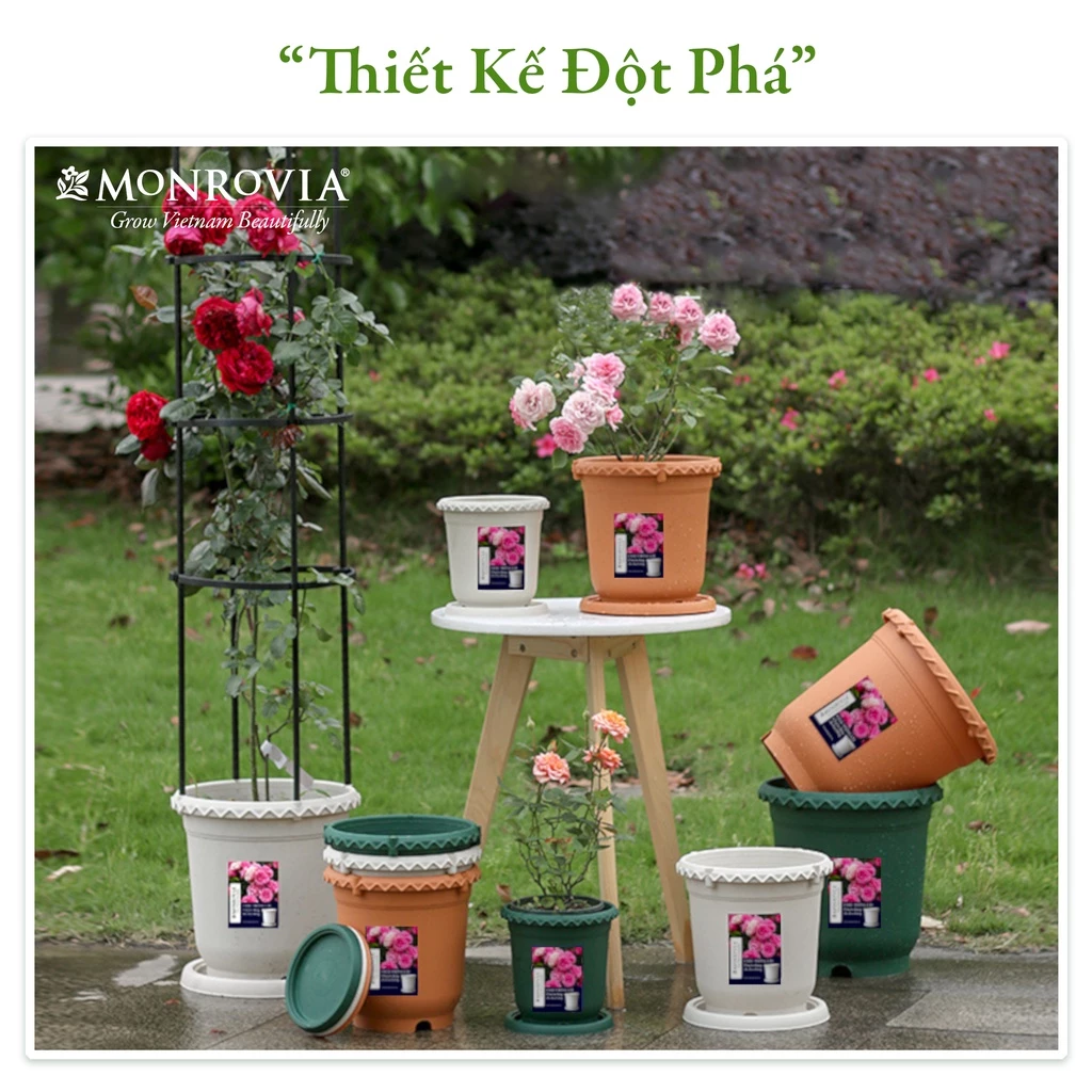 Chậu cảnh ngoài trời bền đẹp, chịu nắng mưa tốt, tô điểm khu vườn thêm xanh. Chậu cảnh ngoài trời bền đẹp, chịu nắng mưa tốt, tô điểm khu vườn thêm xanh.