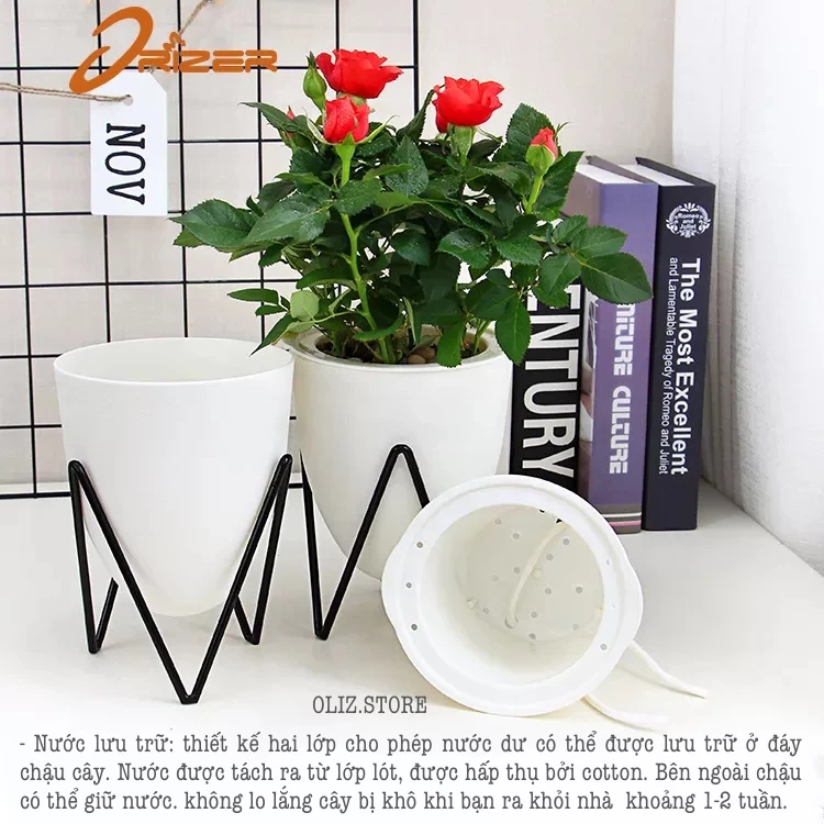 chậu cây nhỏ để bàn làm việc dễ dàng tô điểm cho mọi góc nhỏ chậu cây nhỏ để bàn làm việc dễ dàng tô điểm cho mọi góc nhỏ