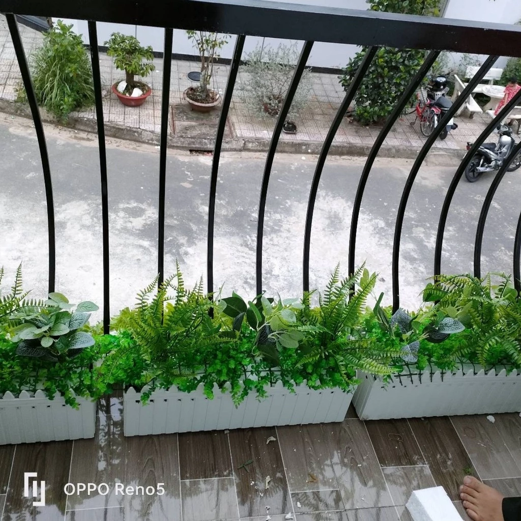 Góc xanh thư giãn mỗi ngày cùng chậu trồng cây ban công xinh xắn. Góc xanh thư giãn mỗi ngày cùng chậu trồng cây ban công xinh xắn.