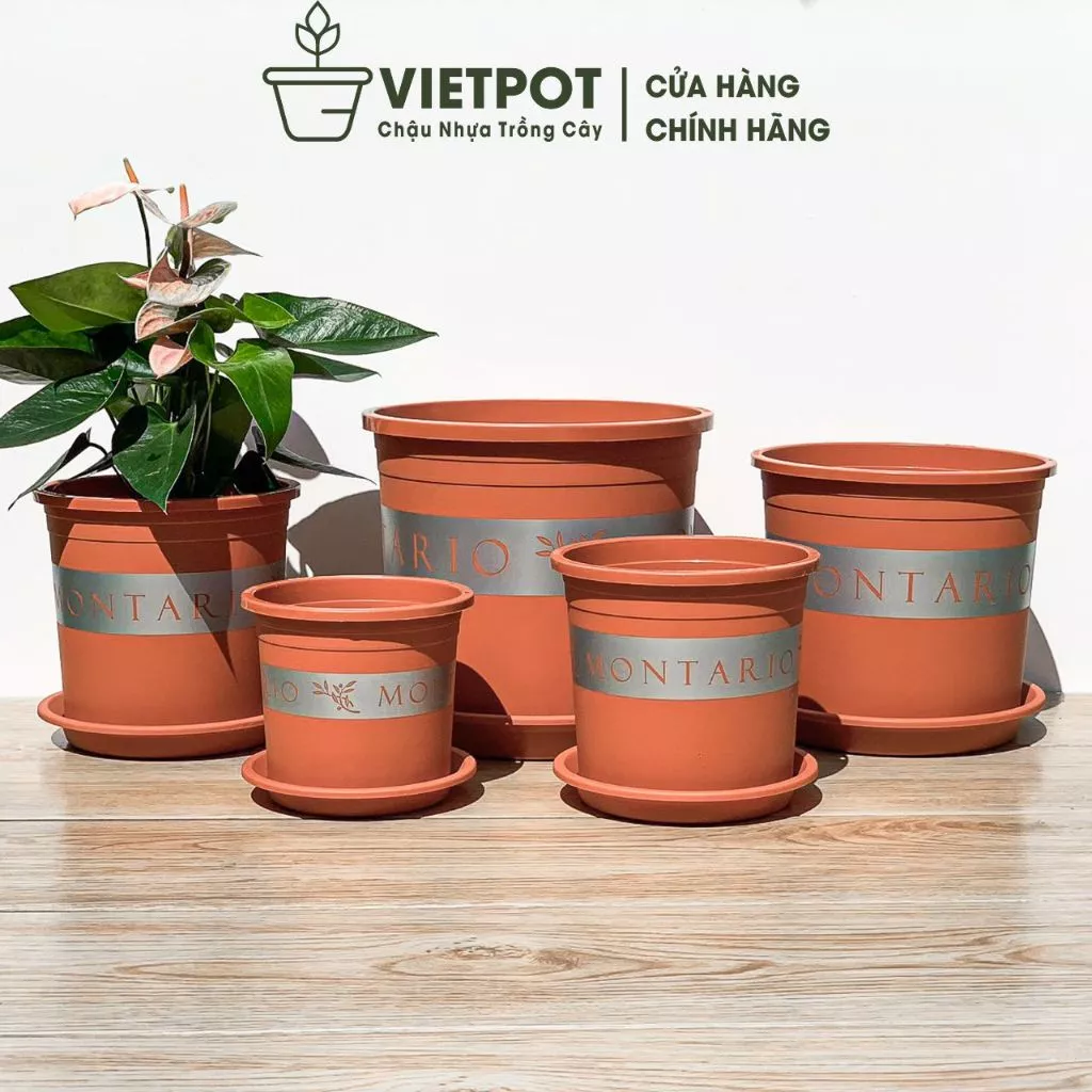 Mua chậu nhựa để trồng cây ở địa chỉ này uy tín, bạn hãy nhấp vào hình để xem gian hàng online Mua chậu nhựa để trồng cây ở địa chỉ này uy tín, bạn hãy nhấp vào hình để xem gian hàng online