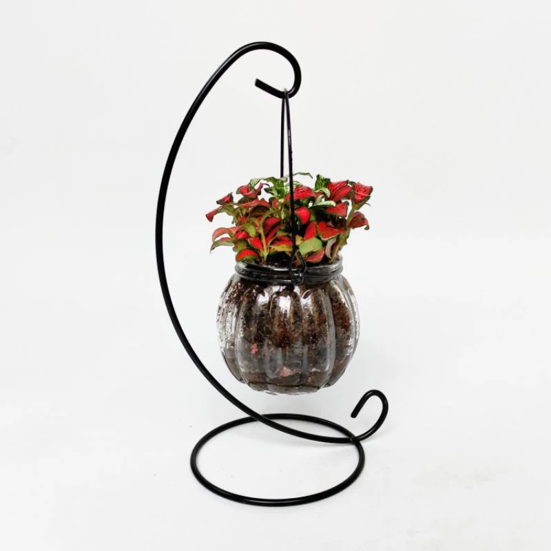 Thêm chút 'art' cho góc làm việc, bàn trà với những mẫu chậu thủy tinh trồng cây thiết kế ấn tượng này! Thêm chút 'art' cho góc làm việc, bàn trà với những mẫu chậu thủy tinh trồng cây thiết kế ấn tượng này!