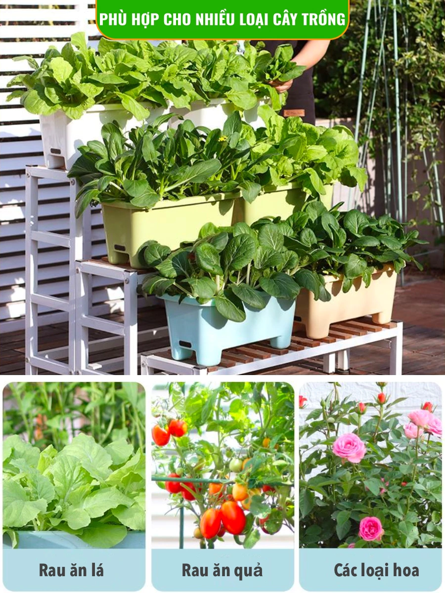 Những mẫu chậu nhựa trồng cây và rau tự tưới đẹp và bền bỉ Những mẫu chậu nhựa trồng cây và rau tự tưới đẹp và bền bỉ