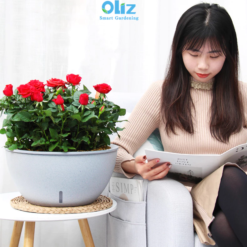 Chậu trồng cây thông minh sử dụng dây cotton thẩm thấu ngược Chậu trồng cây thông minh sử dụng dây cotton thẩm thấu ngược