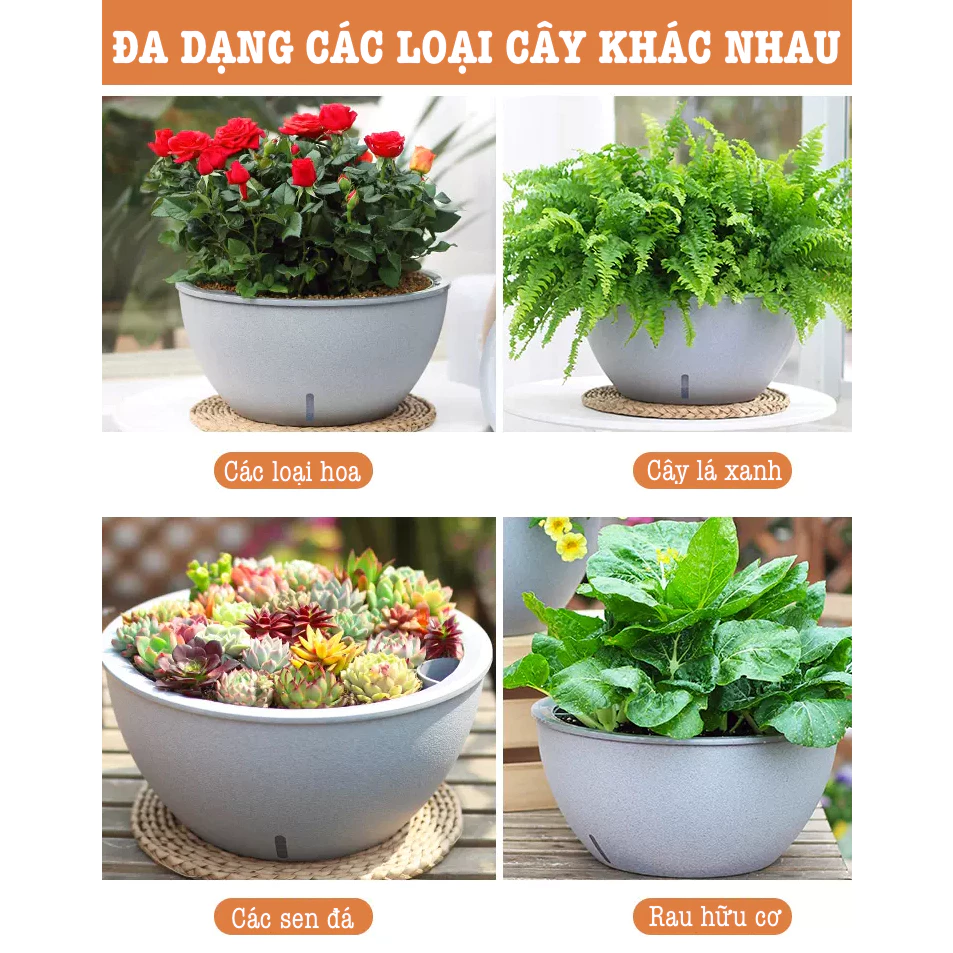 Chậu trồng cây thông minh có kích thước lớn, phù hợp cho việc trồng cây lớn hoặc phối hợp nhiều loại cây Chậu trồng cây thông minh có kích thước lớn, phù hợp cho việc trồng cây lớn hoặc phối hợp nhiều loại cây