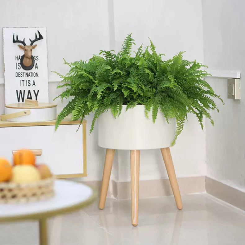 Mẫu chậu thông minh tự tưới có chuông báo này cũng được đón nhận bởi việc thay đất, vệ sinh chậu dễ dàng Mẫu chậu thông minh tự tưới có chuông báo này cũng được đón nhận bởi việc thay đất, vệ sinh chậu dễ dàng