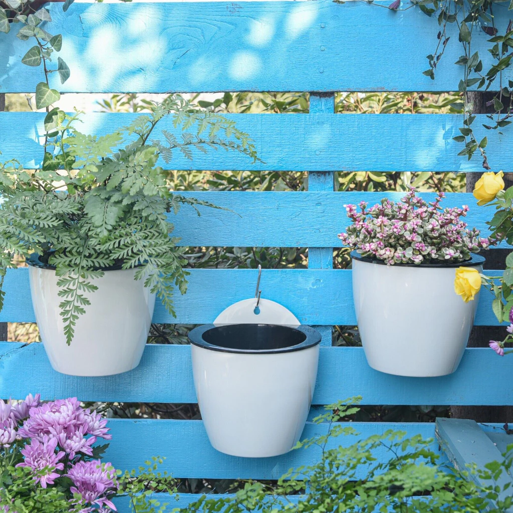 Chậu cây cảnh để bàn đơn giản nhưng vẫn đầy tinh tế. Chậu trồng cây ban công MONROVIA - Giải pháp tuyệt vời để mang không gian xanh vào ngôi nhà của bạn.