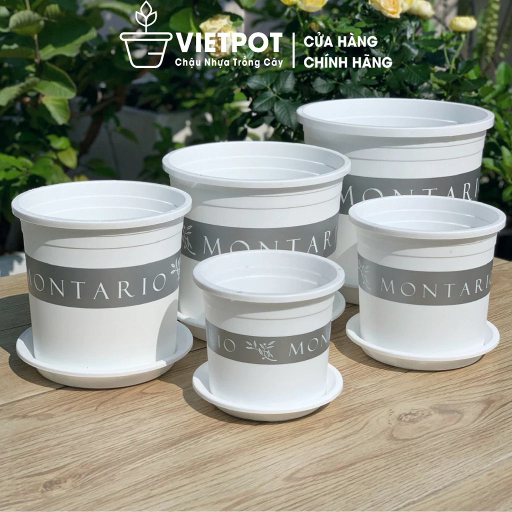 Chậu nhựa tròn cao giúp cây phát triển tốt và tạo điểm nhấn độc đáo cho không gian sống của bạn. Chậu nhựa tròn cao giúp cây phát triển tốt và tạo điểm nhấn độc đáo cho không gian sống của bạn.