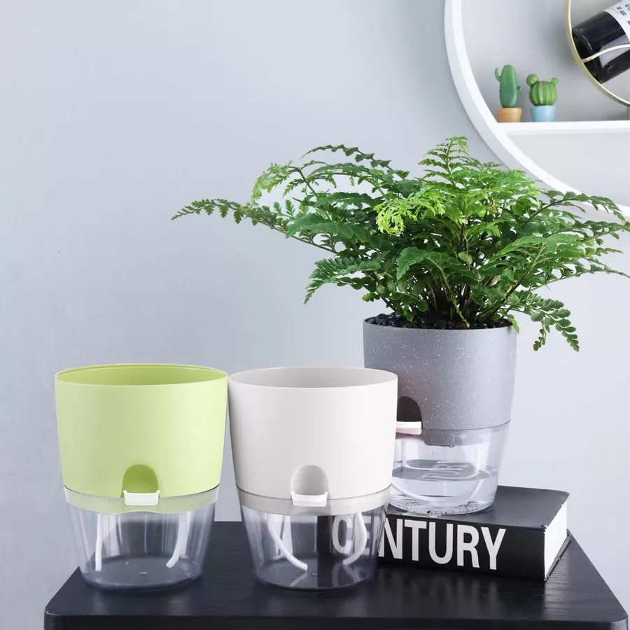 Chậu nhựa trắng tròn thanh lịch, phù hợp với mọi không gian, mang đến vẻ đẹp nhẹ nhàng và tinh tế cho các loại cây cảnh Chậu nhựa trắng tròn thanh lịch, phù hợp với mọi không gian, mang đến vẻ đẹp nhẹ nhàng và tinh tế cho các loại cây cảnh