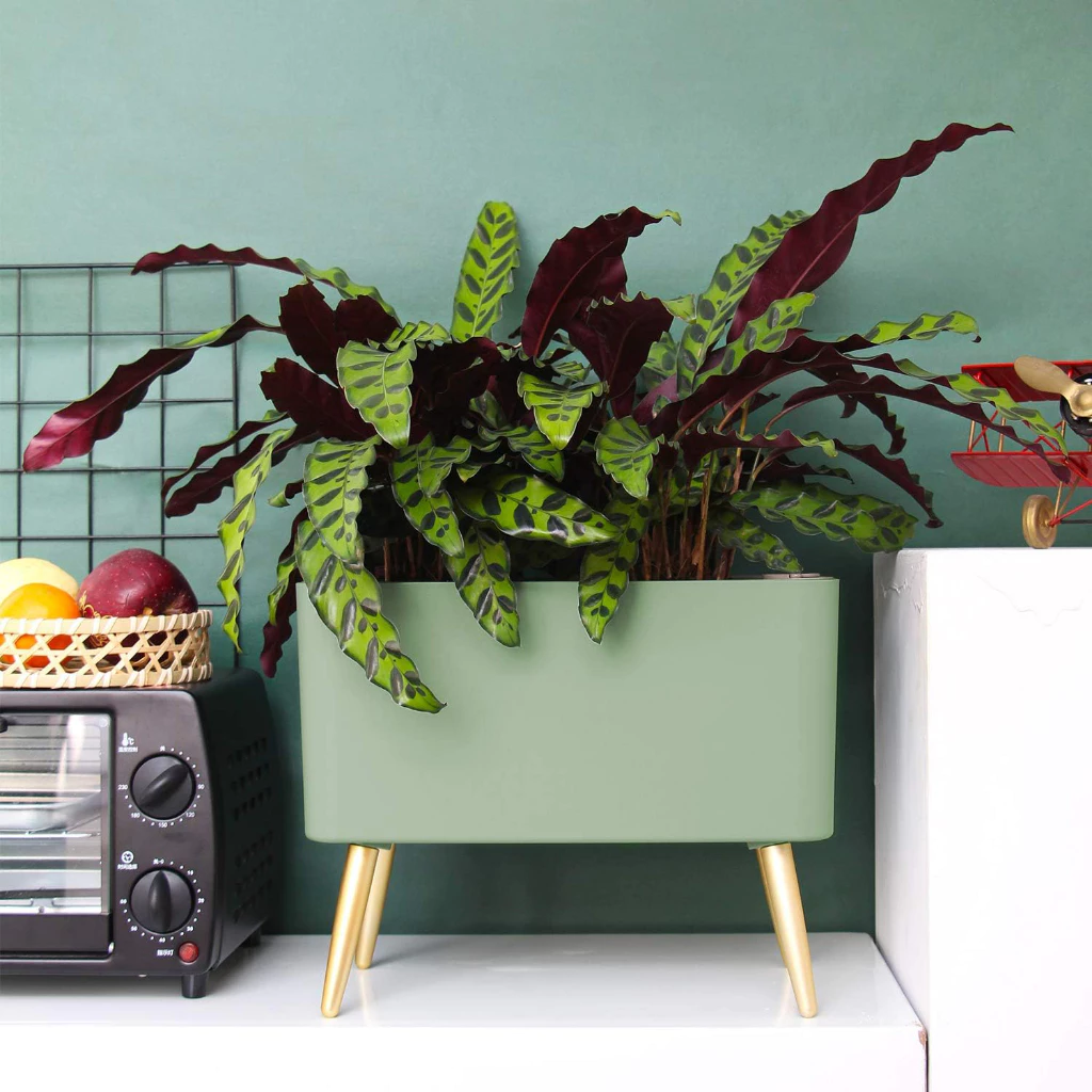 Mẫu chậu cảnh đẹp giúp biến bàn làm việc thành không gian đầy sức sống. Mẫu chậu cảnh đẹp giúp biến bàn làm việc thành không gian đầy sức sống.