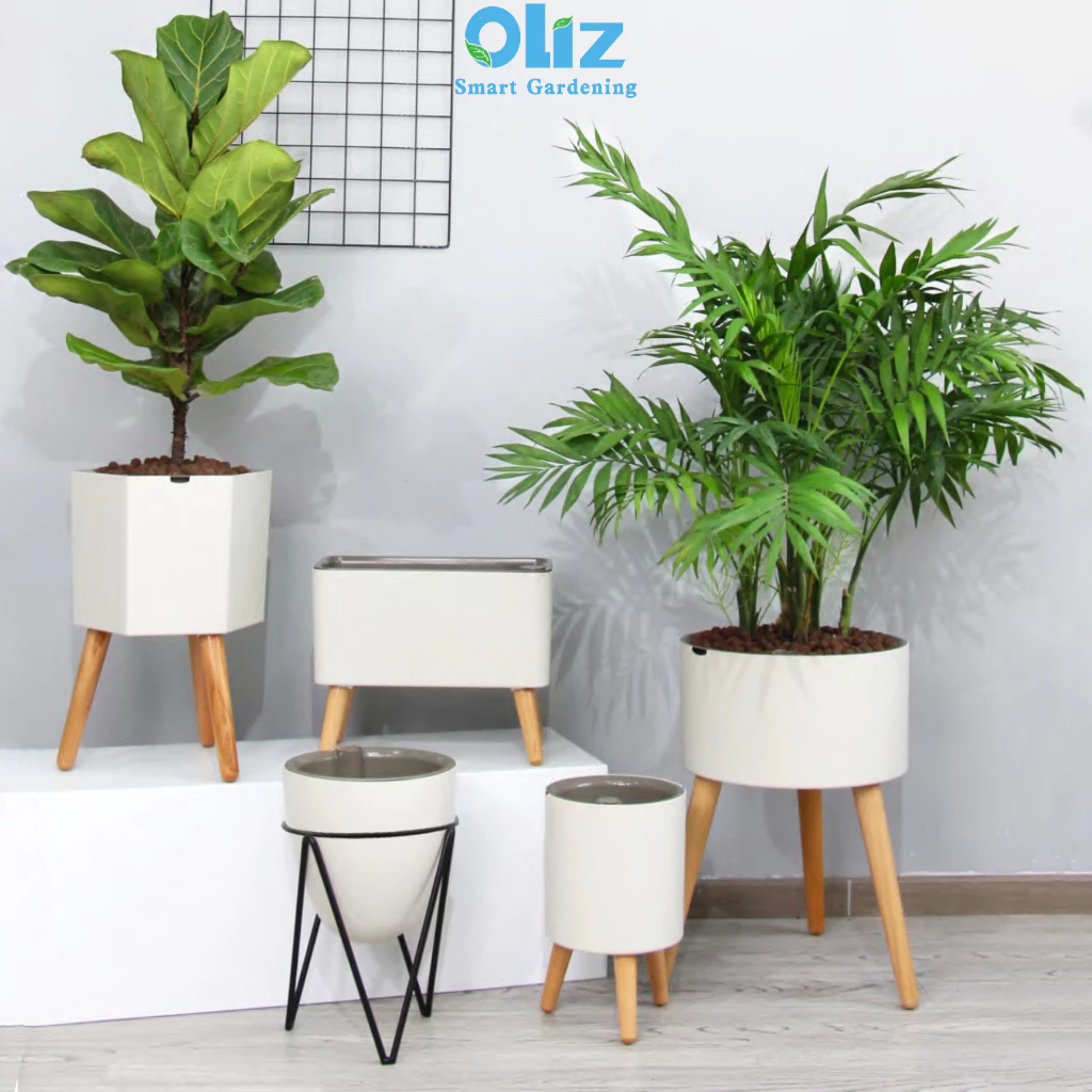 Bạn có thể mua chậu trồng cây thông minh tự tưới, có chuông báo khi hết nước để đảm bảo luôn đủ nước cho cây Bạn có thể mua chậu trồng cây thông minh tự tưới, có chuông báo khi hết nước để đảm bảo luôn đủ nước cho cây