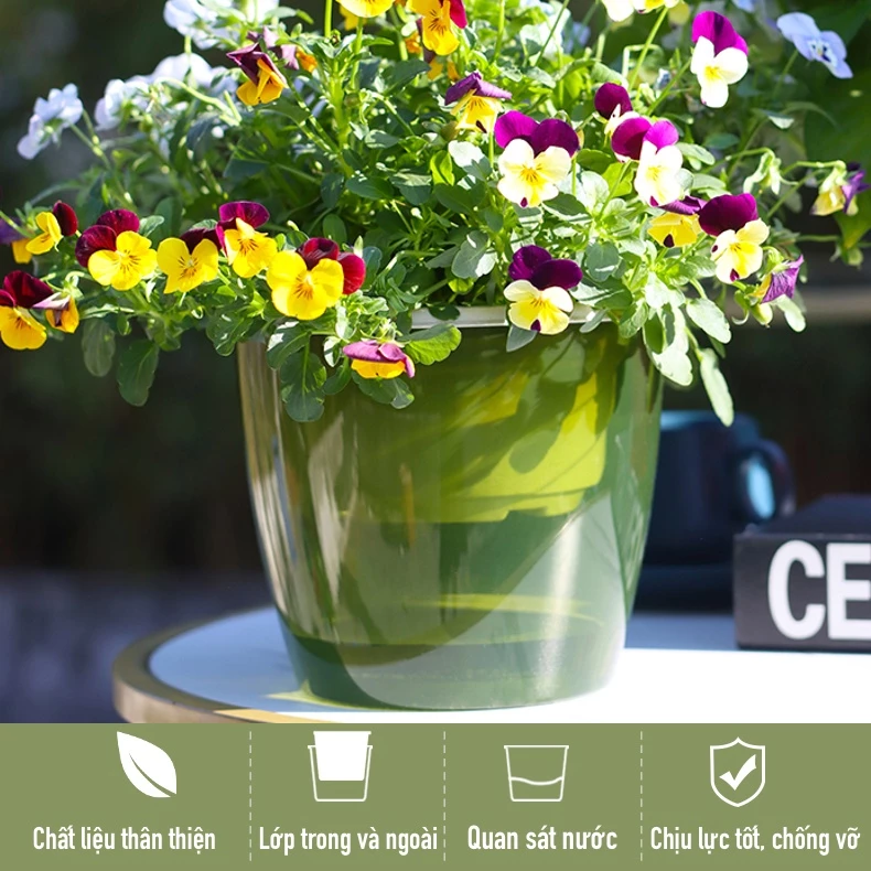 Vẻ đẹp tinh tế của chậu cây cảnh đẹp khiến ai cũng muốn ngắm nhìn. Vẻ đẹp tinh tế của chậu cây cảnh đẹp khiến ai cũng muốn ngắm nhìn.