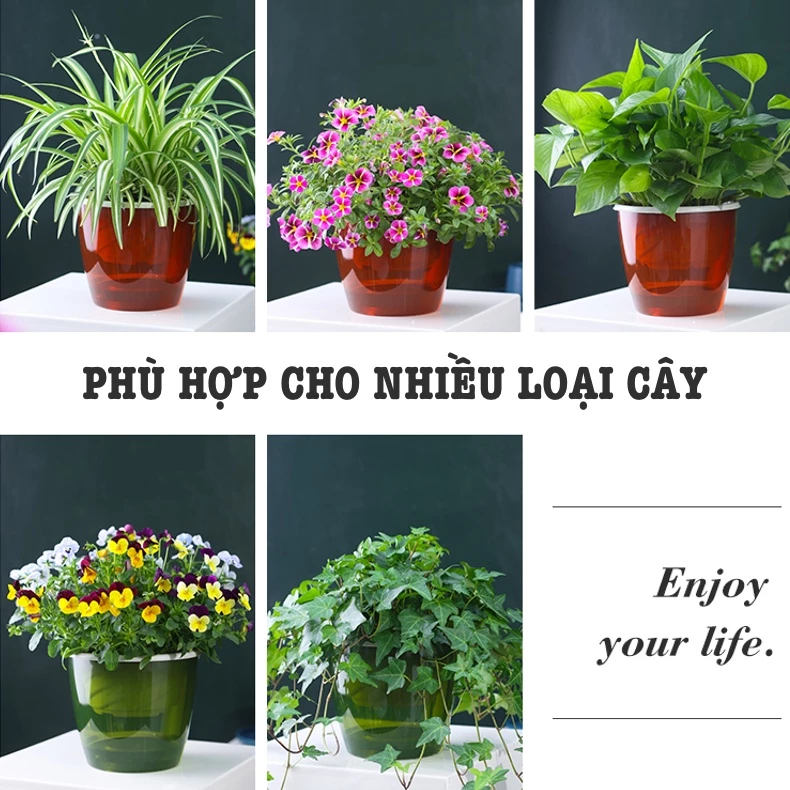 Mẫu chậu cây cảnh để bàn thông minh tự tưới Mẫu chậu cây cảnh để bàn thông minh tự tưới
