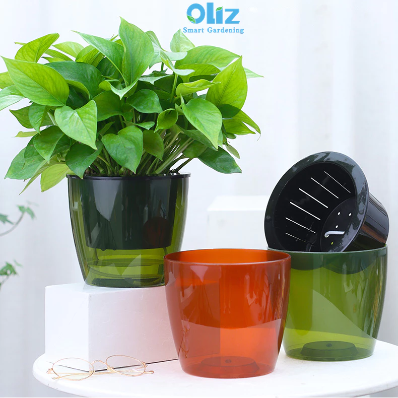 Một chậu cây cảnh để bàn xinh xắn là món quà ý nghĩa dành tặng bạn bè Một chậu cây cảnh để bàn xinh xắn là món quà ý nghĩa dành tặng bạn bè